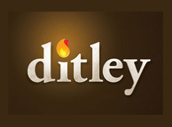 15% off web design services