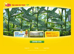 Lipton Tea Free Samples, New Offers and Promotions