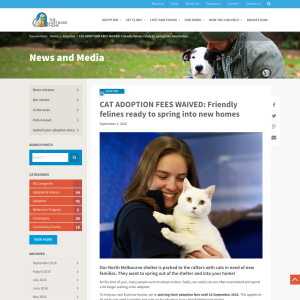 Free Adult (6 Months+ Old) Cat Adoption 